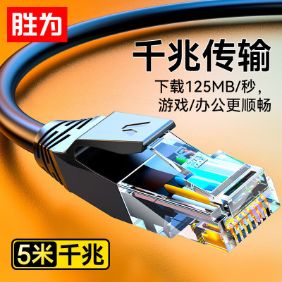 胜为 跳线成品线5米 6A类LC-9050G