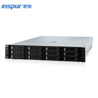 浪潮/INSPUR CS5260H2 服务器 32G*2