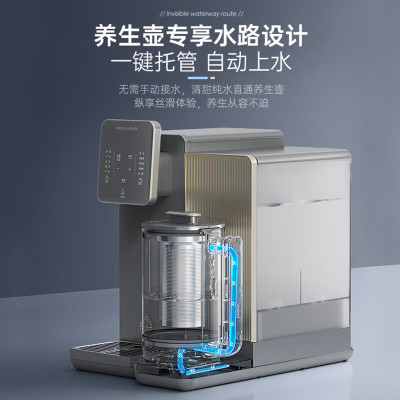 摩飞(Morphy richards) 反渗透净水器 MR6051