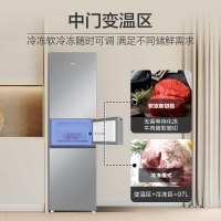 海尔冰箱BCD-217WGHC3E9H9