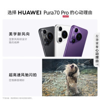 华为 Pura70 Pro(HBN-AL00)12GB+256GB 罗兰紫/羽砂黑/雪域白 标准版