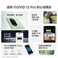 华为 nova 13 Pro (MIS-AL00)全网通版512GB 洛登绿/星耀黑/羽砂白/羽砂紫