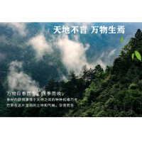 万源市玺丰收竹笋248g/袋