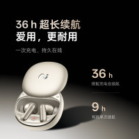 科大讯飞(iFLYTEK) 录音转写降噪 会议耳机 iFLYBUDS Pro3