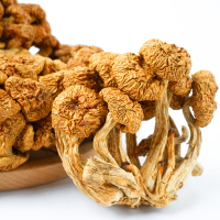 金阳县高原优选滑子菇150g/袋大凉山山珍干货