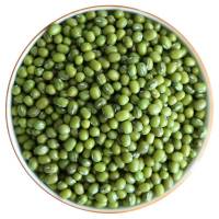 金阳县山地淳绿豆500g/袋
