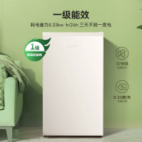 容声(Ronshen)小冰箱BC-95D12
