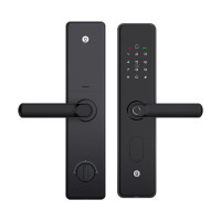 凯迪仕门锁 M1-w