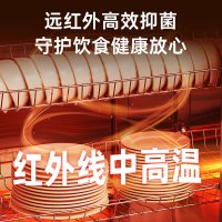 热风循环消毒柜580*430*1730