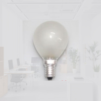 杜克恩 DKEDP-001 灯泡 25瓦暖光(计价单位:个)