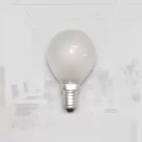 杜克恩 DKEDP-001 灯泡 25瓦暖光(计价单位:个)