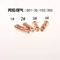 国盛(GUOSHENG) 丙烷割嘴G01-30-2#