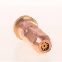 国盛(GUOSHENG) 丙烷割嘴G01-300-2#