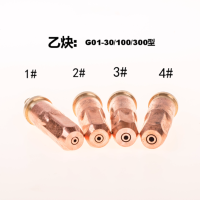 国盛(GUOSHENG) 乙炔割嘴G01-300-1#