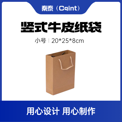 秦泰(Cqint) QtD-001 20*25*8cm 小号竖式牛皮纸袋 10.00个/包 本色