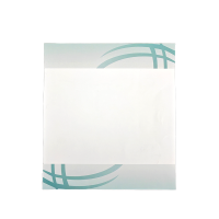 秦泰(Cqint) QTDLBP-04 彩色折纸 297*232mm 20张/包