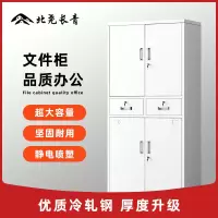 北尧长青办公柜钢制铁皮柜档案柜陈列柜资料凭证柜铁中二斗柜