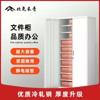 北尧长青文件柜铁皮柜档案柜铁皮文件柜资料柜凭证柜办公柜子双门十层