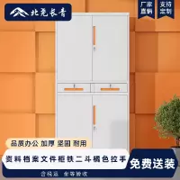 北尧长青文件柜办公钢制铁皮柜资料档案柜储物拆装柜铁二斗橘色拉手加厚款