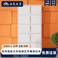 北尧长青文件柜办公钢制铁皮柜资料档案柜储物拆装柜通五节橘色拉手加厚款