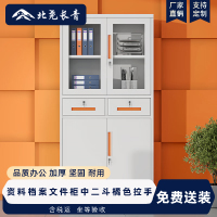 北尧长青文件柜办公钢制铁皮柜资料档案柜储物拆装柜中二斗橘色拉手加厚款