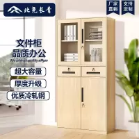 北尧长青 文件柜资料档案员工储物柜钢制铁皮工具员工凭证柜 中二斗文件柜