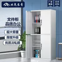 北尧长青 档案柜办公柜钢制铁皮柜资料员工柜储物柜通双节文件柜 通双节