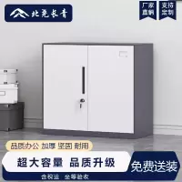 北尧长青 文件柜办公室资料档案存放柜铁皮柜加厚拆装柜 760对开铁矮柜