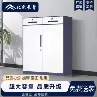 北尧长青 文件柜办公室资料档案存放柜铁皮柜加厚拆装柜 1090二斗对开矮柜