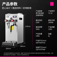 乐创 lecon TZ-02 咖啡机 双屏带泵 银色