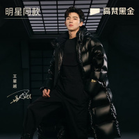 高梵黑金鹅绒服先锋3.0八格男女同款羽绒服长款冬季时尚厚外套