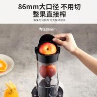 九阳(Joyoung) 原汁机 多功能家用电动榨汁机全自动冷压炸果汁果蔬机渣汁分离 榨汁机JYZ-V18A