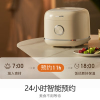 九阳(Joyoung)电饭煲家用高颜值电饭锅2-4人多功能预约蒸煮土灶原釜内胆3L精致容量 F-30FY2 漫生活系列复