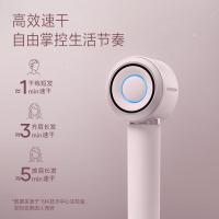 飞科(FLYCO)高速电吹风机低噪速干负离子护发大功率银河星环FH6371星空灰