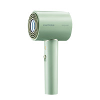 飞科(FLYCO)电吹风机 柔风负离子恒温护发家用宿舍用冷热大风量快速干发低噪音吹风筒礼物送女友FH6310绿色