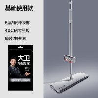 大卫拖把平板拖把大号家用懒人一拖净加长2024新款免手洗拖地神器拖布两用 共2个拖布