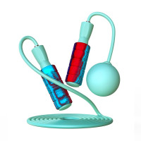 捷瑞特(JOROTO)美国JOROTO跳绳专业轴承可调长度健身运动中考专用学生成人TS2205