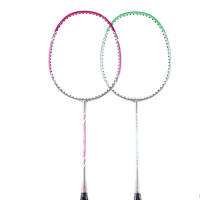 何大屋(Hodtown)羽毛球拍成人健身羽毛球拍羽毛球训练比赛耐打碳素羽拍初学者羽毛球拍套装HDW130501