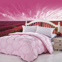 安巢家居(ANCHOW)家纺保暖双人盖被冬被被芯空调被羽丝绒被AW10702/3500g