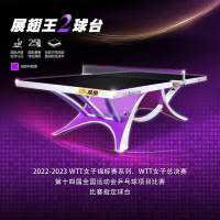 双鱼(DOUBLEFISH)乒乓球桌展翅王2代室内标准乒乓球台大型比赛乒乓球案子国际乒联赛事展翅王2-紫-含架网