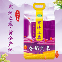 十月稻田(SHIYUEDAOTIAN) 寒地之最香稻贡米5kg