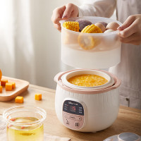 小熊Bear电炖锅 小炖锅煮粥锅 智能预约定时煲汤锅炖汤锅燕窝炖盅 微B 0.8L配蒸笼白瓷内胆 DDZ-B08C1