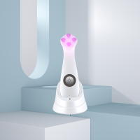 金稻射频美容仪器提拉紧致微电流家用脸部光子嫩肤导入仪KD9900 珍珠白