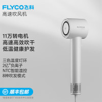 飞科(FLYCO)吹风机家用电吹风宿舍高速负离子大风力速干便携吹风筒送女友礼物 FH6351星空灰