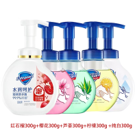 舒肤佳(Safeguard) 抑菌泡沫洗手液5瓶装300g(纯白+芦荟+柠檬+樱花+红石榴)抑菌99.9%
