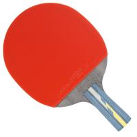 红双喜(DHS)乒乓球拍四星直拍R4006C碳素底板双面反胶弧圈结合快攻成品单拍