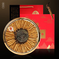 雷允上冬虫夏草4根/g 50g约200根虫草礼品礼品高端送人