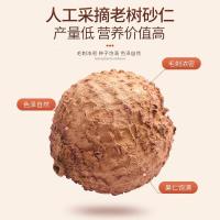 福东海 正宗春砂仁65克 精选大颗粒春沙仁干果 煲汤蒸肉磨粉阳春特产