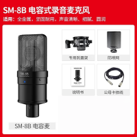 得胜(TAKSTAR)SM-8B电容麦克风话筒电脑录音设备主播手机K歌专用直播笔记本通用幻象电源套餐 SM-8B标配