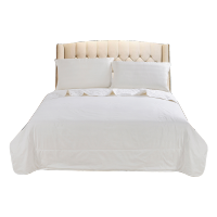 安巢家居(ANCHOW)家居蚕丝被双人夏凉空调被春秋被薄被子被芯200*230cm蚕丝被AW10805